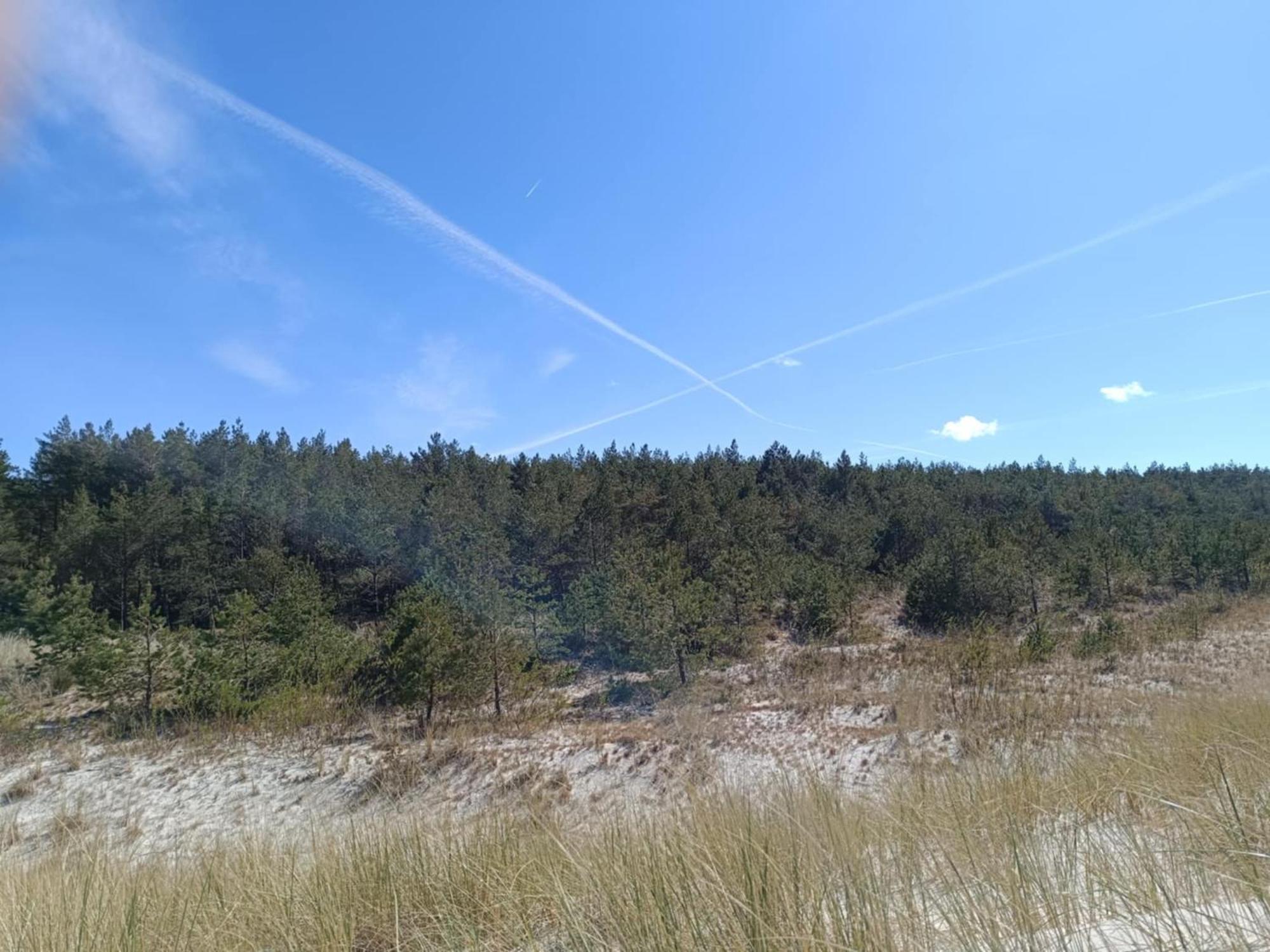 Jeszcze Bardziej Dziki Sad Slajszewo Exterior foto