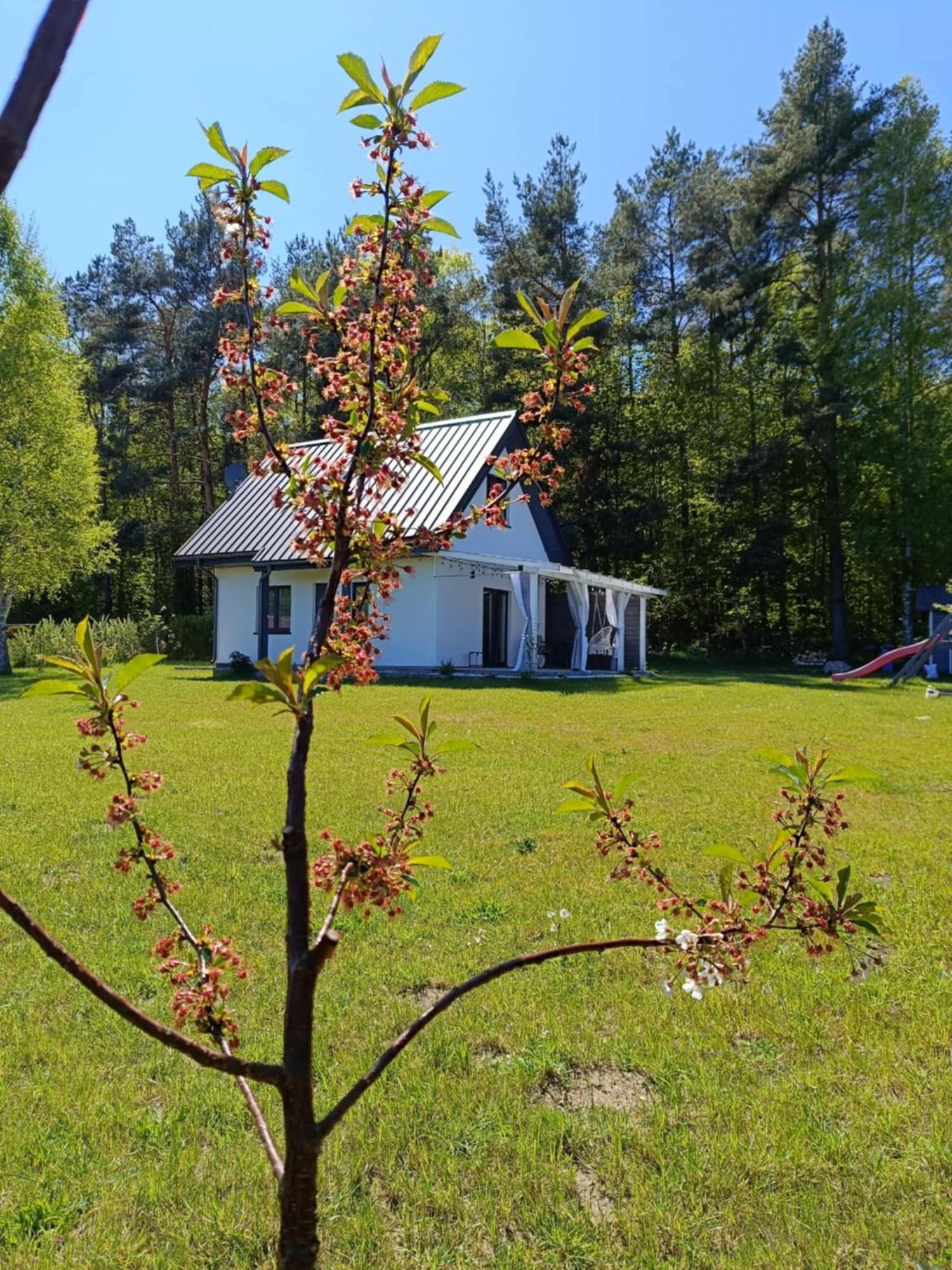 Jeszcze Bardziej Dziki Sad Slajszewo Exterior foto